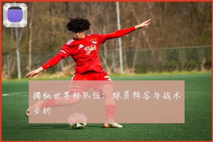 揭秘世界杯队伍：球员阵容与战术分析