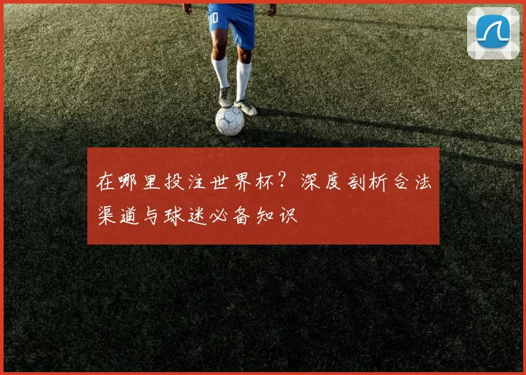 在哪里投注世界杯？深度剖析合法渠道与球迷必备知识