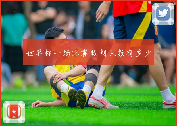 世界杯一场比赛裁判人数有多少