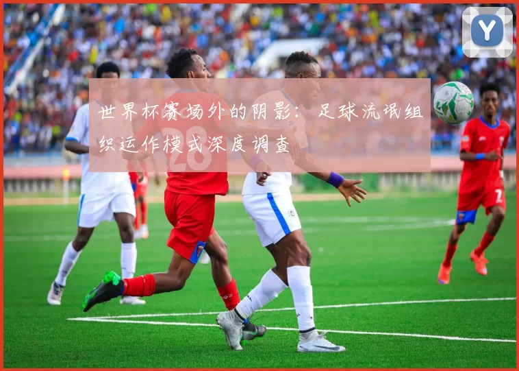 世界杯赛场外的阴影：足球流氓组织运作模式深度调查