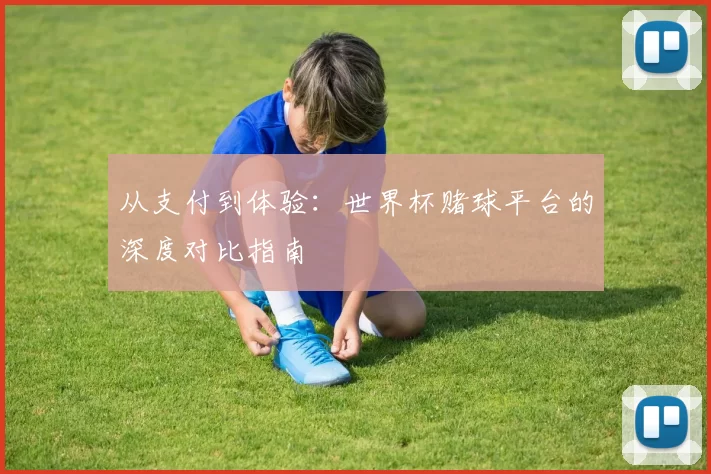 从支付到体验：世界杯赌球平台的深度对比指南