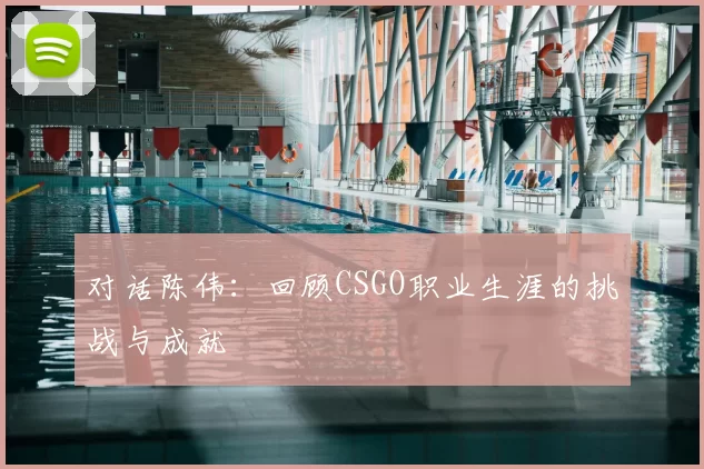 对话陈伟：回顾CSGO职业生涯的挑战与成就
