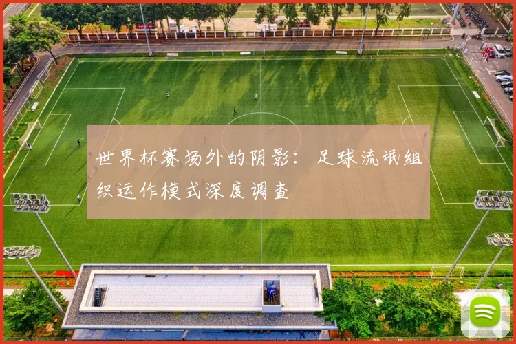 世界杯赛场外的阴影：足球流氓组织运作模式深度调查
