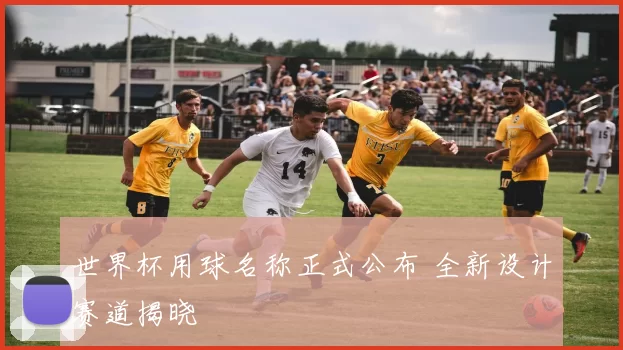 世界杯用球名称正式公布 全新设计赛道揭晓