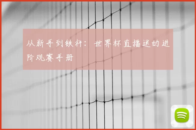 从新手到铁杆：世界杯直播迷的进阶观赛手册