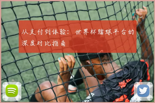 从支付到体验:世界杯赌球平台的深度对比指南