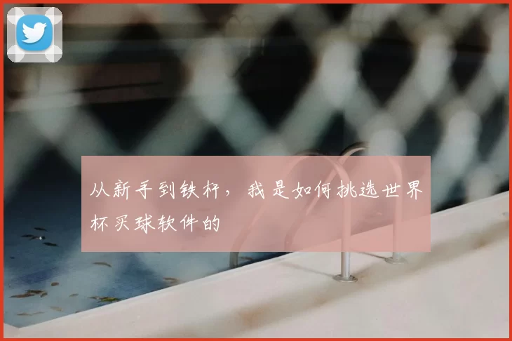 从新手到铁杆，我是如何挑选世界杯买球软件的