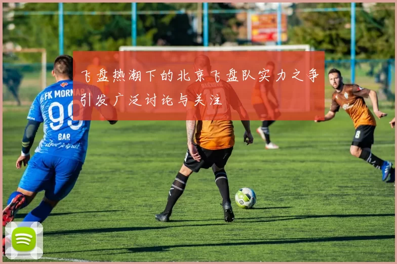 飞盘热潮下的北京飞盘队实力之争引发广泛讨论与关注