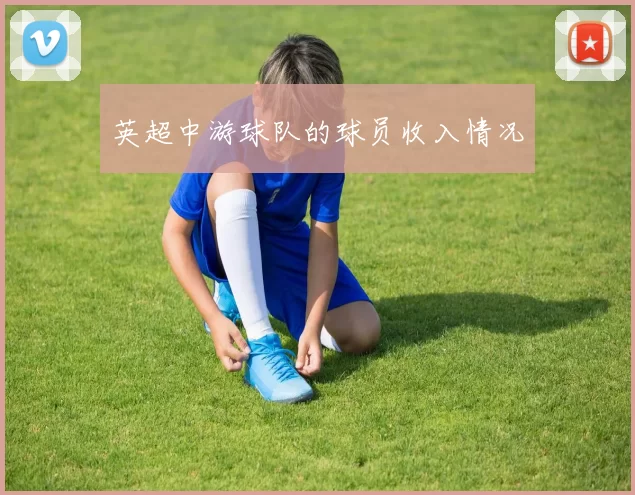 英超中游球队的球员收入情况