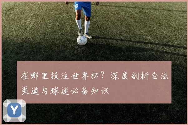 在哪里投注世界杯?深度剖析合法渠道与球迷必备知识