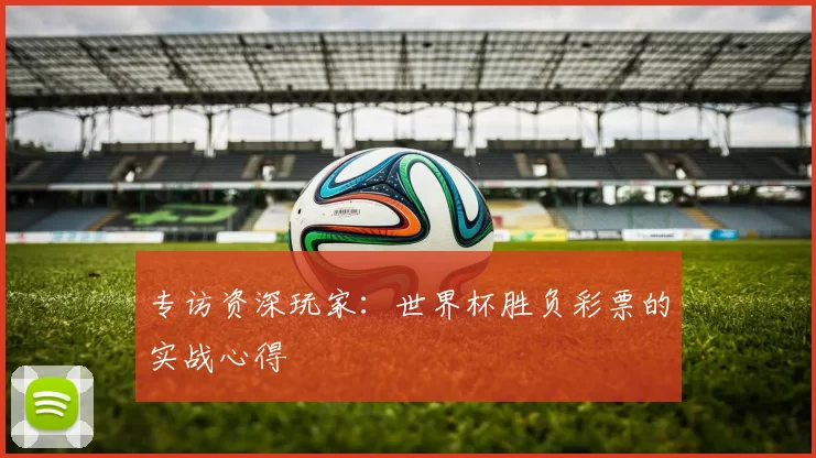 专访资深玩家：世界杯胜负彩票的实战心得